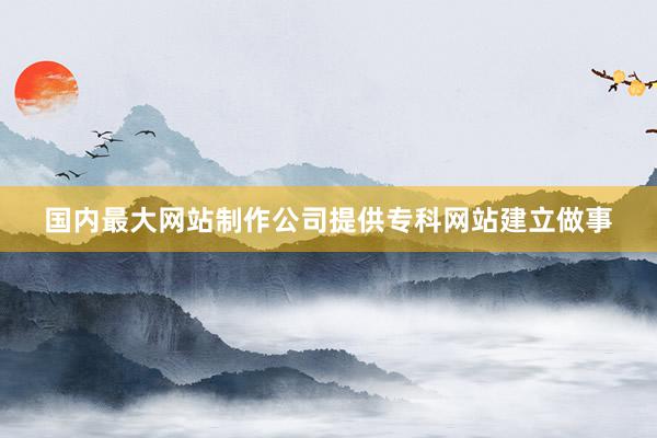 国内最大网站制作公司提供专科网站建立做事