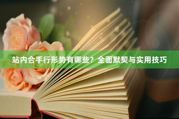 站内合手行形势有哪些？全面默契与实用技巧