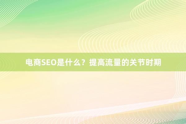 电商SEO是什么？提高流量的关节时期